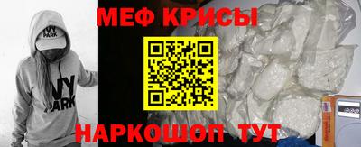 стафф Кингисепп