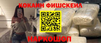 стафф Кингисепп