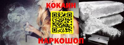 стафф Кингисепп