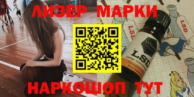 стафф Кингисепп