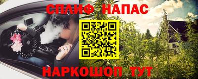 стафф Кингисепп