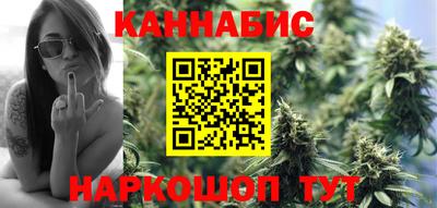 стафф Кингисепп