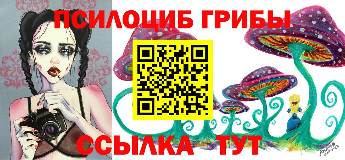 где найти наркотики  Вход с VPN  Карасук  Псилоцибиновые грибы мухоморы  Псилоцибиновые грибы Cubensis 